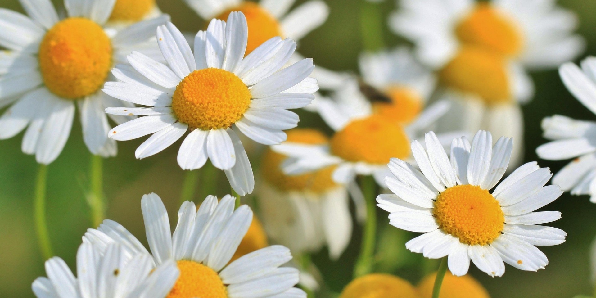 2023년도 상담소 활동