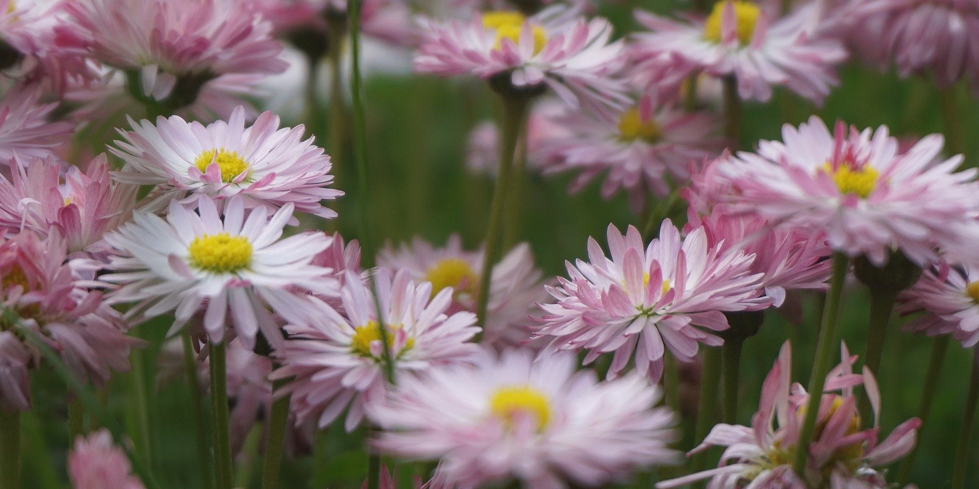 2022년도 상담소 활동