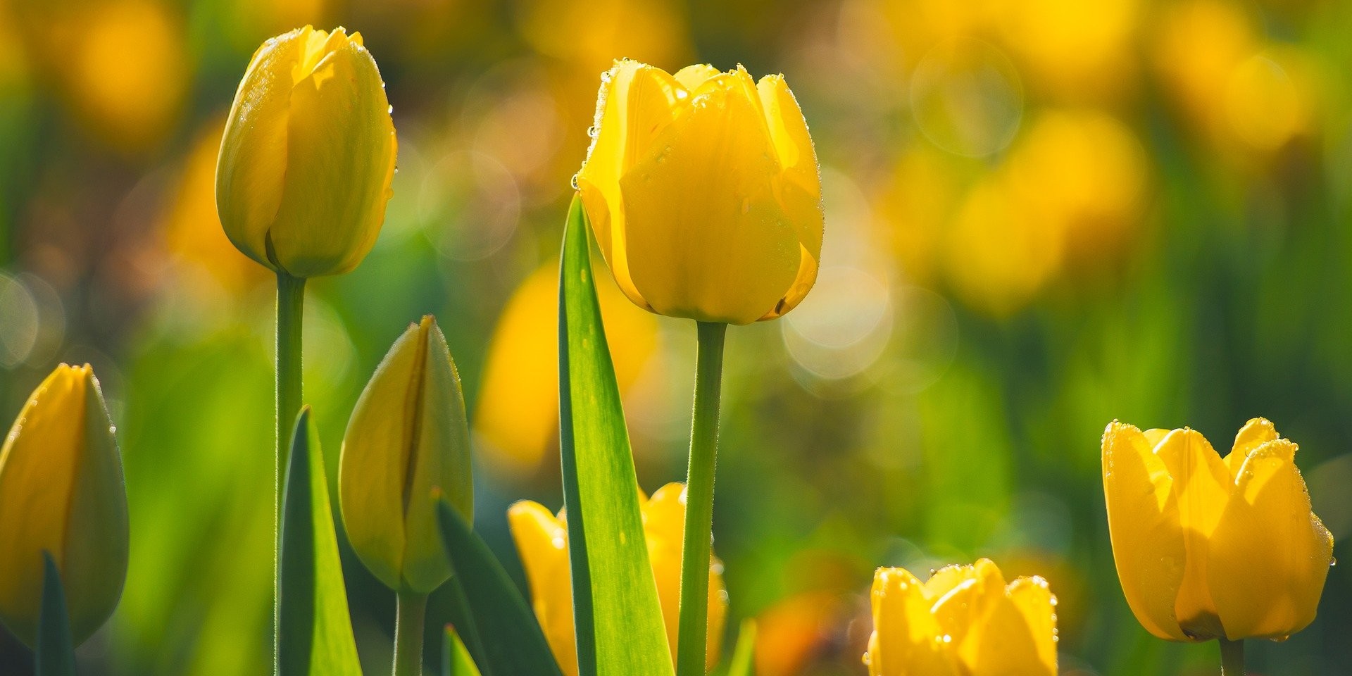 2024년도 상담소 활동