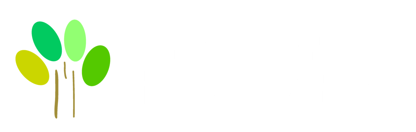 대구성폭력상담소